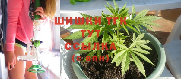 молекула духа Покровск