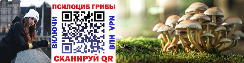 blacksprut зеркало  Черногорск  Псилоцибиновые грибы Magic Shrooms  наркота 