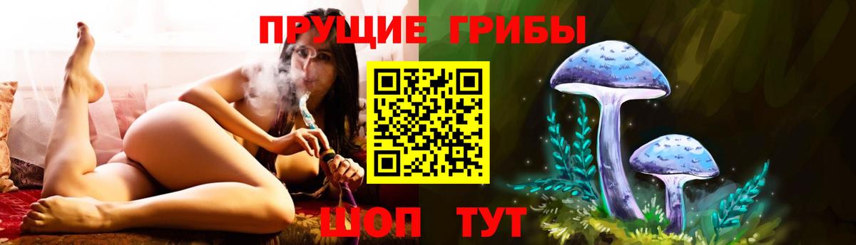 Черногорск  Псилоцибиновые грибы Cubensis  Вход с VPN 