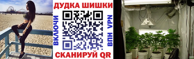 мега зеркало  где продают   Черногорск  это какой сайт  Шишки марихуана VHQ 