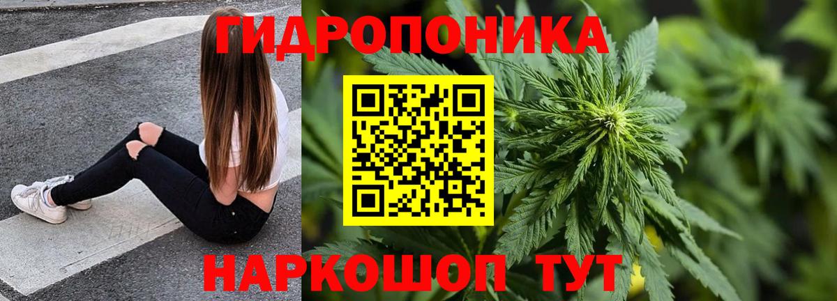 Каннабис семена Черногорск